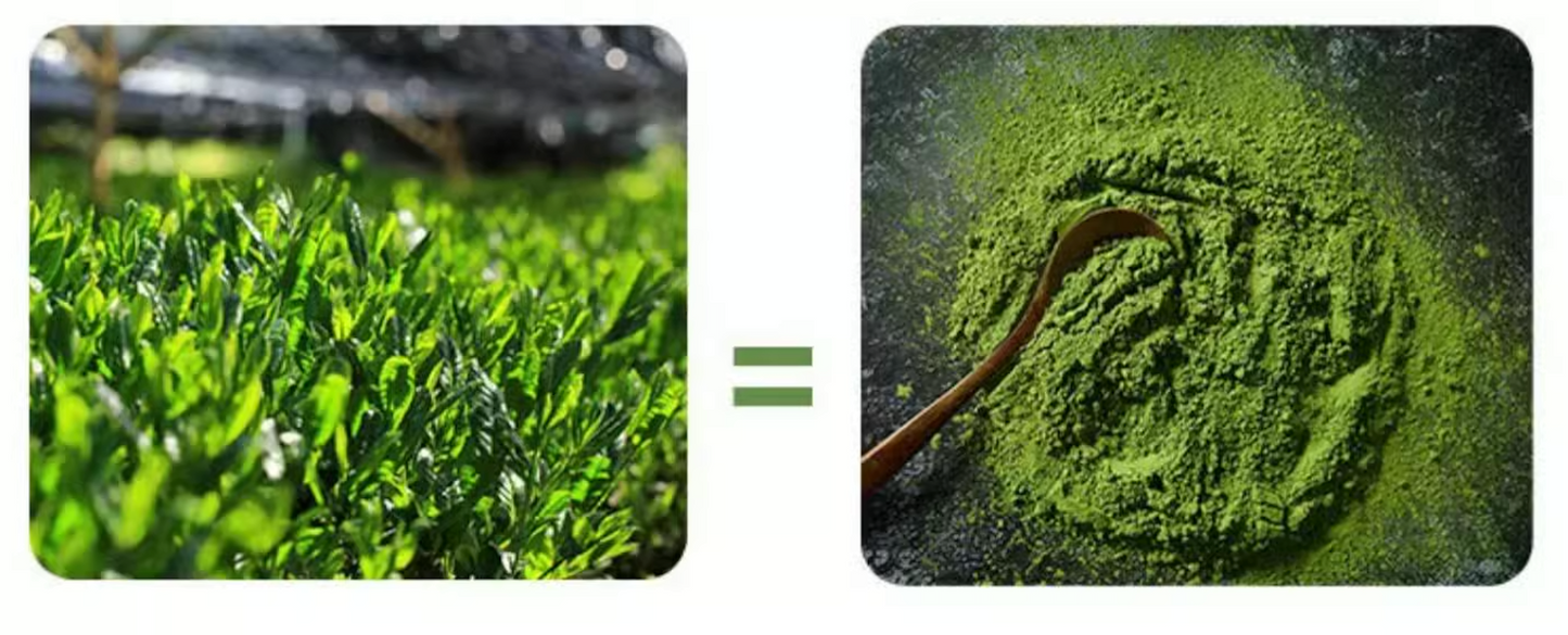 Xinlu Organic Ceremonial Plateau Matcha with Spoon 50g